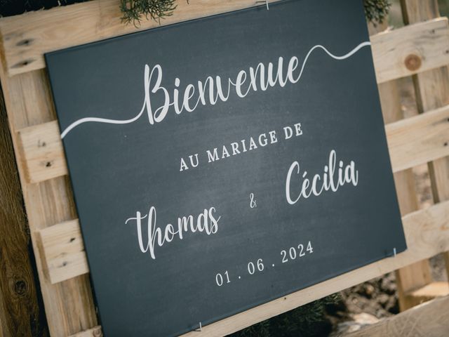 Le mariage de Thomas et Cécilia à Saint-Pons-de-Mauchiens, Hérault 11