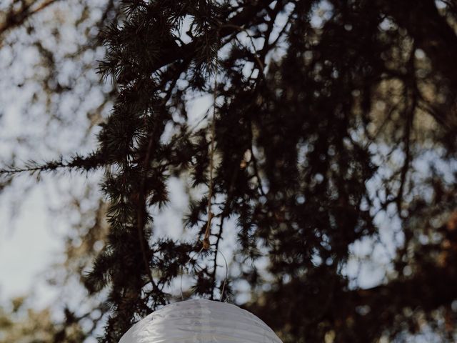 Le mariage de Joe et Anna à Les Sorinières, Loire Atlantique 2