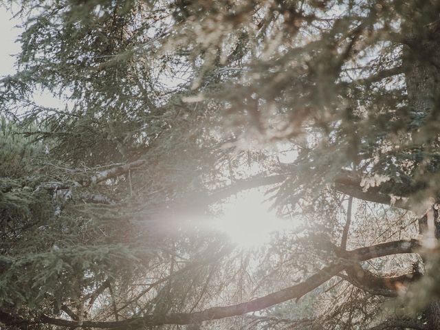 Le mariage de Joe et Anna à Les Sorinières, Loire Atlantique 22