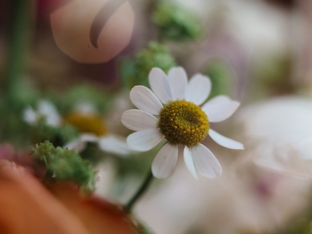 Le mariage de Matthieu et Lucie à Fleurie, Rhône 5