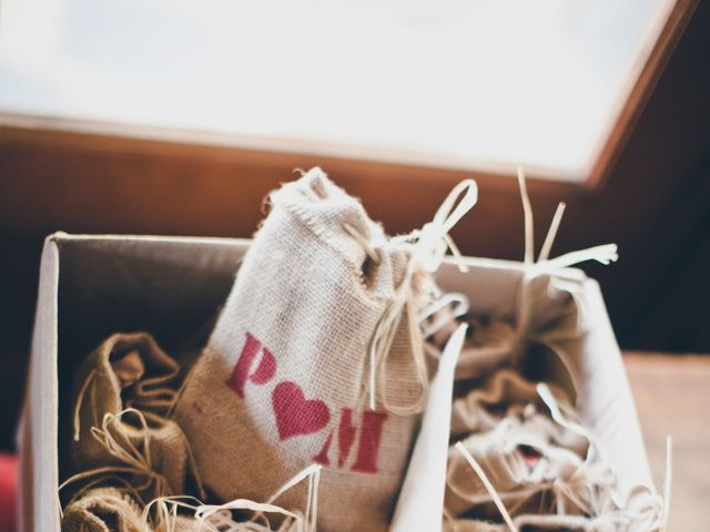 Le mariage de Pierre-Olivier et Marion à Lanobre, Cantal 6