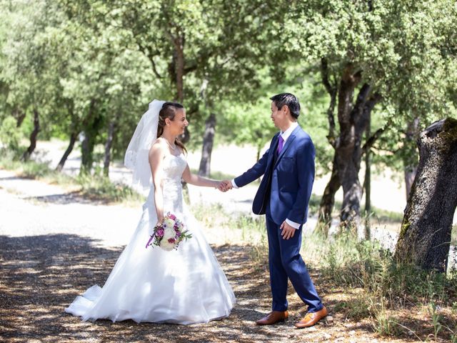 Le mariage de Hoa et Elodie à Mirabeau, Vaucluse 24