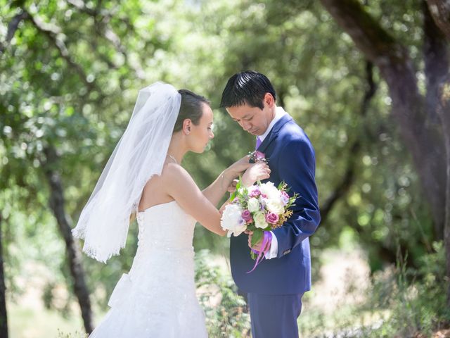 Le mariage de Hoa et Elodie à Mirabeau, Vaucluse 26