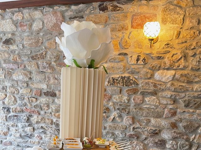 Le mariage de Les chatons et Alexandre à Ploumoguer, Finistère 4