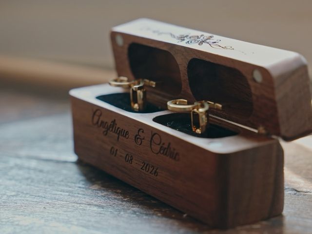 Le mariage de Cédric et Angélique à Saint-Gervais-en-Vallière, Saône et Loire 6