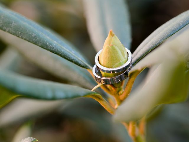 Le mariage de Etienne et Shan à Lésigny, Seine-et-Marne 5