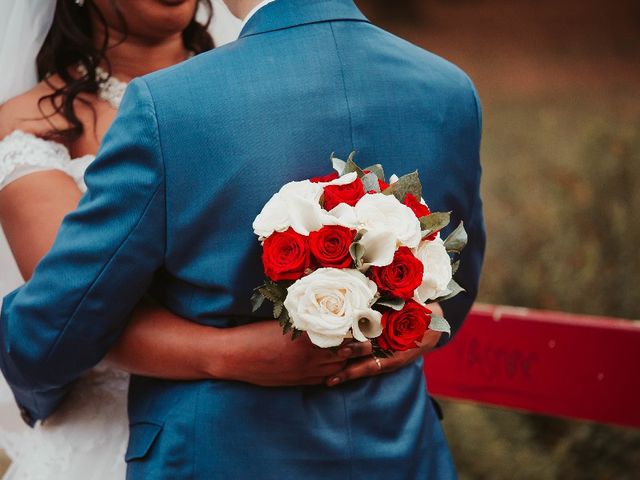 Le mariage de Laurent  et Aminata  à Toulouse, Haute-Garonne 15