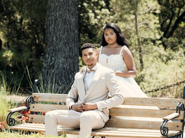 Le mariage de Julien et Tatiana à Lançon-Provence, Bouches-du-Rhône 18
