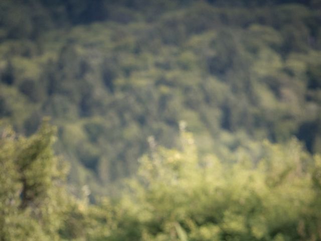 Le mariage de Pierre et Oriane à Sciez, Haute-Savoie 58