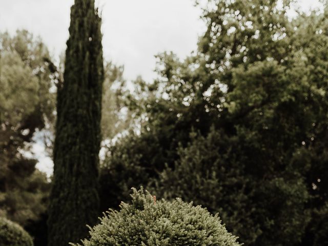 Le mariage de Olivier et Coline à Tarascon, Bouches-du-Rhône 83