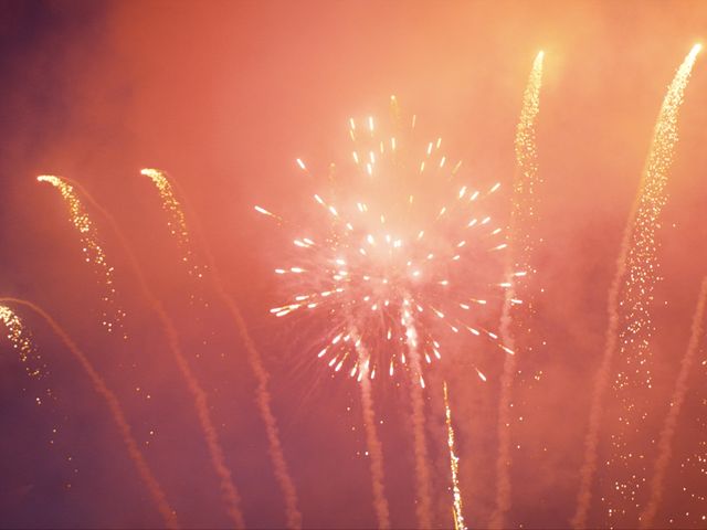 Le mariage de Yves et Delphine à Gambais, Yvelines 2