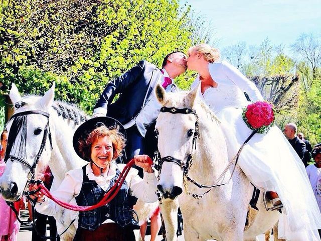 Le mariage de Jérôme et Julie à Freneuse, Yvelines 2