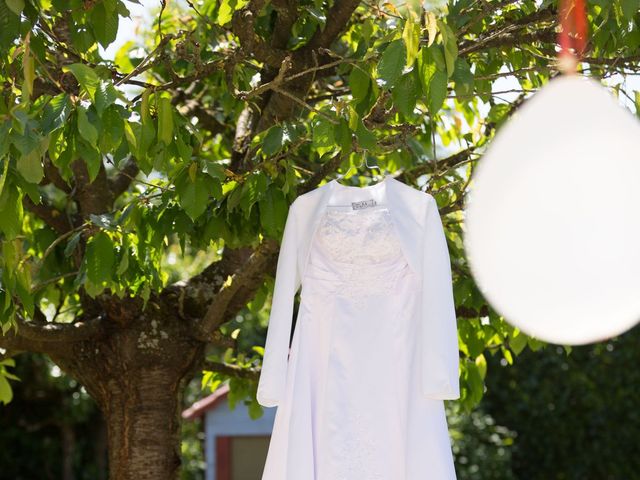 Le mariage de Sylvain et Anabela à Brie-Comte-Robert, Seine-et-Marne 3