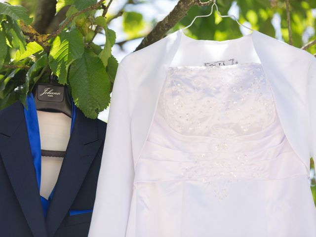 Le mariage de Sylvain et Anabela à Brie-Comte-Robert, Seine-et-Marne 2