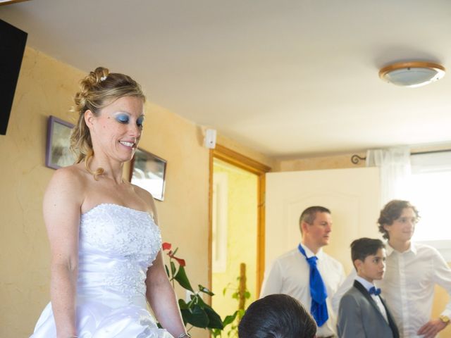 Le mariage de Sylvain et Anabela à Brie-Comte-Robert, Seine-et-Marne 24