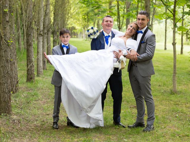 Le mariage de Sylvain et Anabela à Brie-Comte-Robert, Seine-et-Marne 74