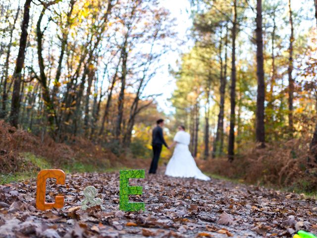 Le mariage de Cécile et Élodie à La Séguinière, Maine et Loire 47