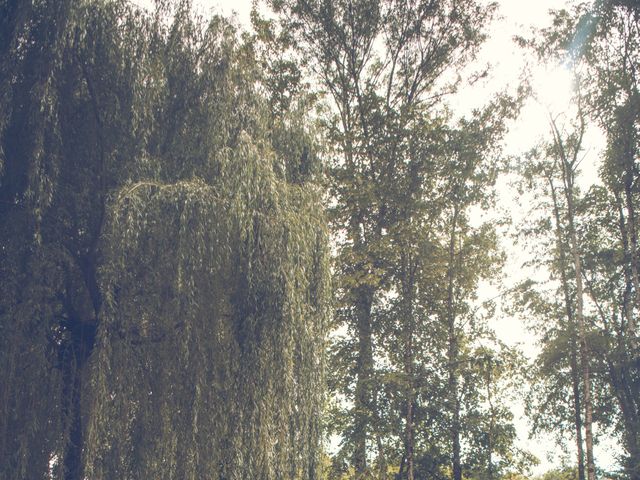 Le mariage de Alexandre et Leïla à Saint-Thomas-en-Royans, Drôme 17