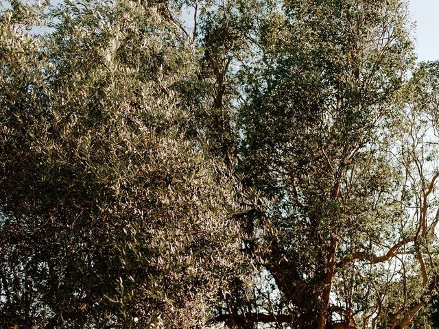 Le mariage de Ronnie et Fanny à Vallon-Pont-d&apos;Arc, Ardèche 64