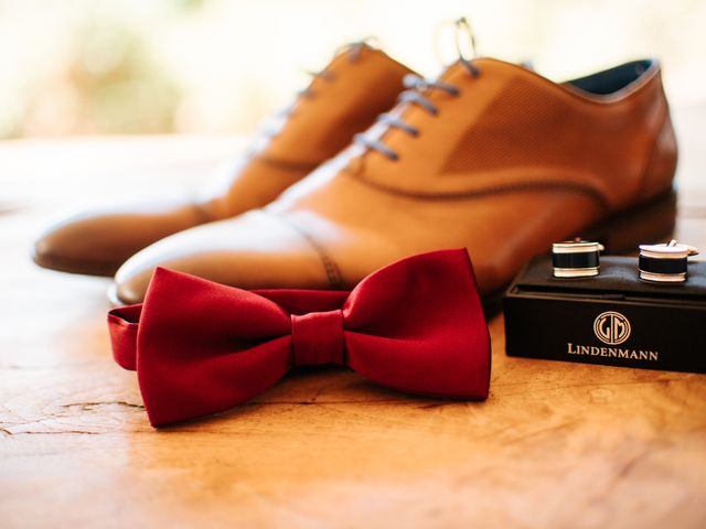 Le mariage de David et Laura à Aussonne, Haute-Garonne 5