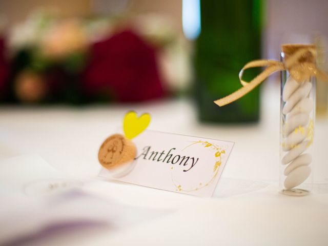 Le mariage de Mélanie et Anthony à La Chapelle-de-Guinchay, Saône et Loire 3