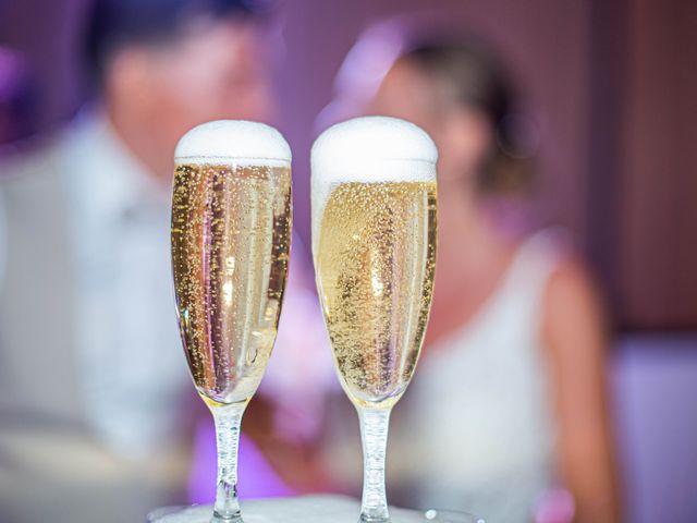 Le mariage de Mélanie et Anthony à La Chapelle-de-Guinchay, Saône et Loire 17