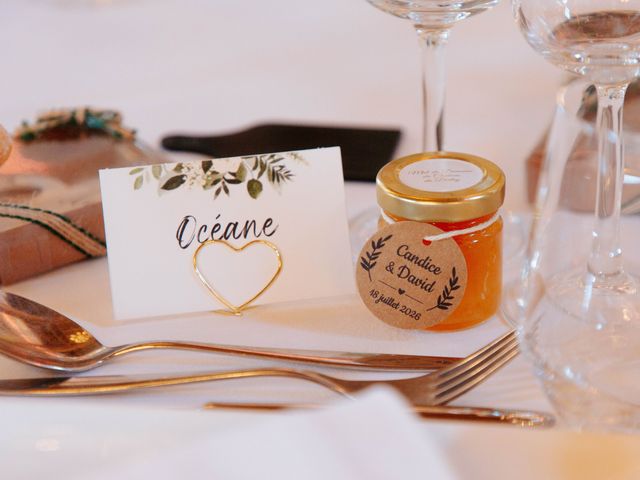 Le mariage de David et Candice à La Bouexière, Ille et Vilaine 99