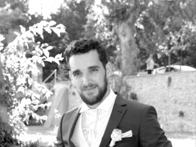 Le mariage de Sébastien et Elodie à Nîmes, Gard 3