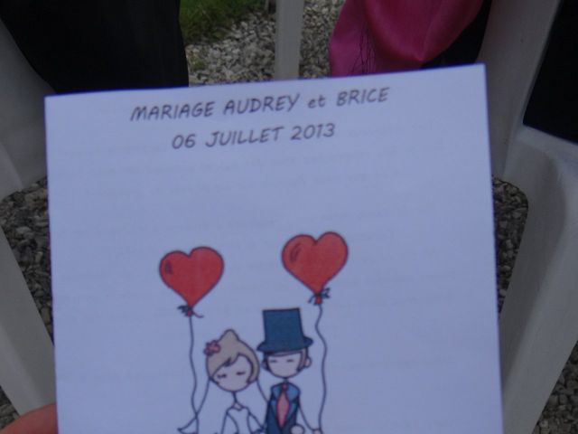 Le mariage de Audrey et Brice à Brienne-le-Château, Aube 23