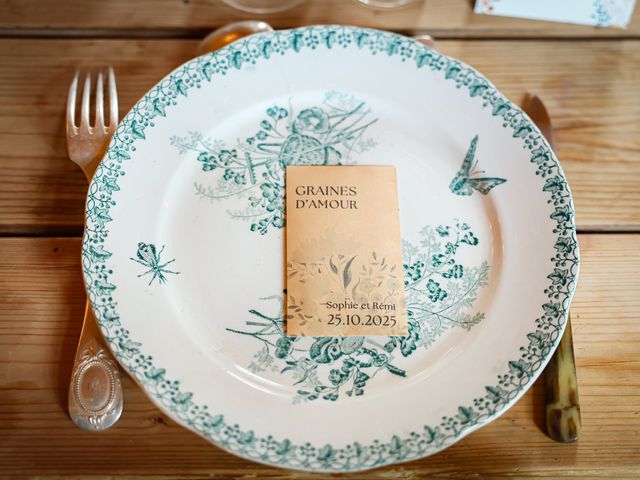 Le mariage de Rémi et Sophie à Dame-Marie, Orne 44