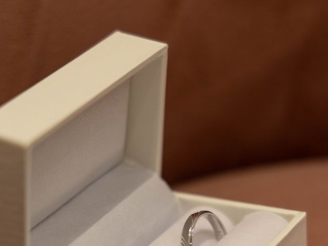 Le mariage de Damien et Virginie à Écouflant, Maine et Loire 9