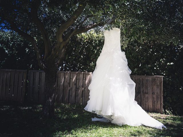 Le mariage de Christophe et Mélanie à Antibes, Alpes-Maritimes 11