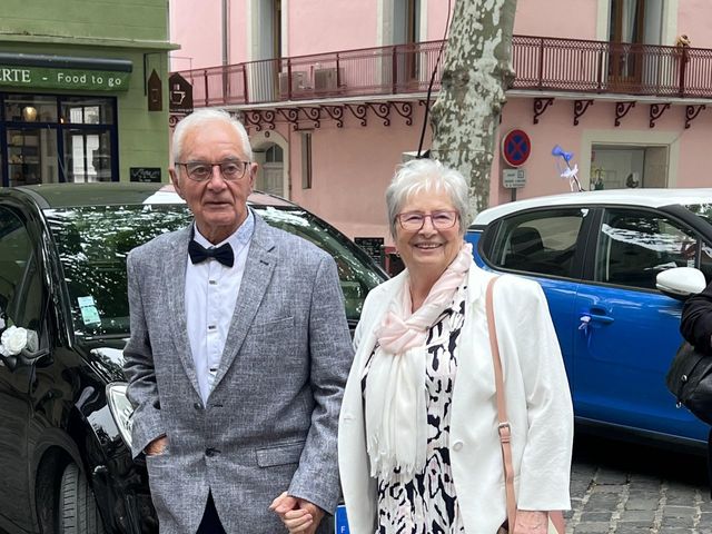 Le mariage de Christian et Stéphanie à Sète, Hérault 60