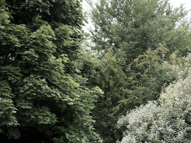 Le mariage de Antoine et Regina à Saint-Sandoux, Puy-de-Dôme 20