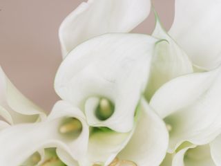 Le mariage de Carolina et Victor 2