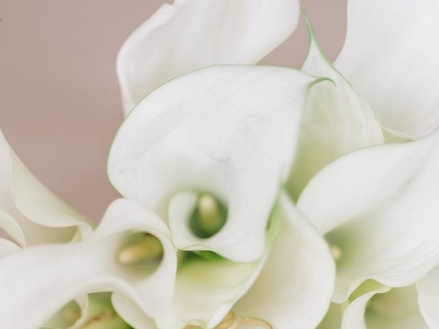 Le mariage de Victor et Carolina à Langres, Haute-Marne 4
