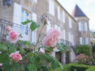 Le mariage de Lany et Kévin 1