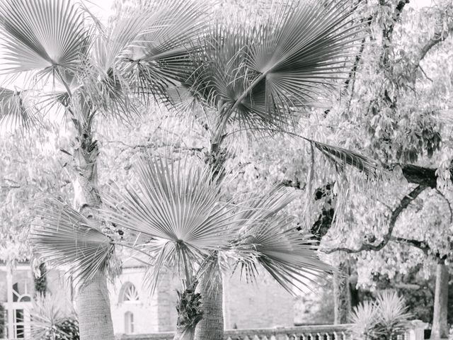 Le mariage de Brice et Sophie à Lauzerville, Haute-Garonne 12