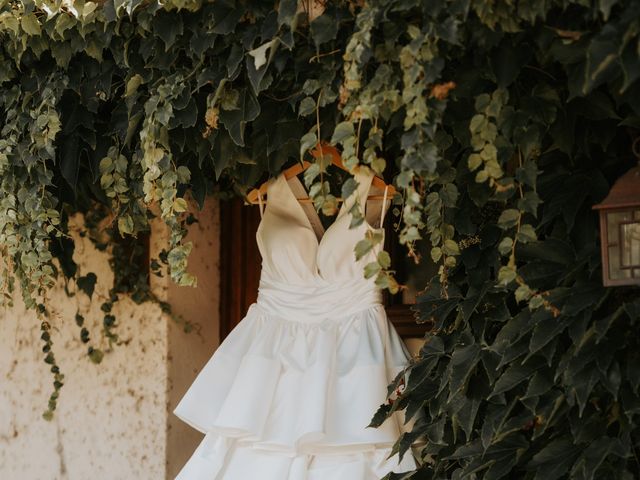Le mariage de Charlie et Sandra à Montagnole, Savoie 20