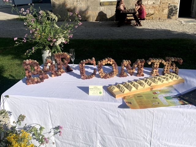 Le mariage de Ludovic et Sibylle à Salins-les-Bains, Jura 3