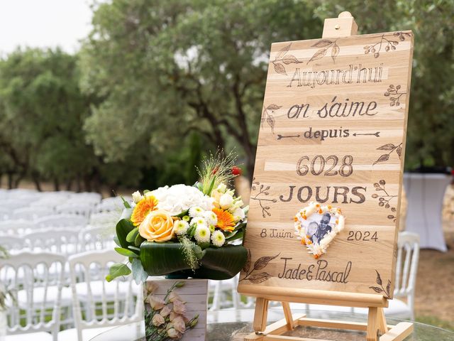 Le mariage de Pascal et Jade à Coudoux, Bouches-du-Rhône 15