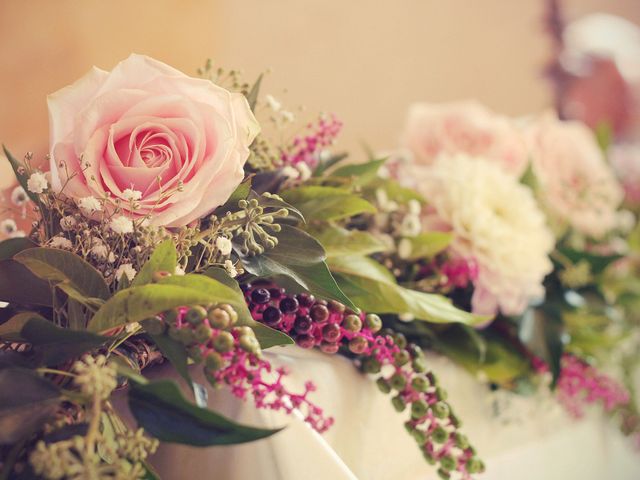 Le mariage de Nicolas et Lucy à Griselles, Loiret 44