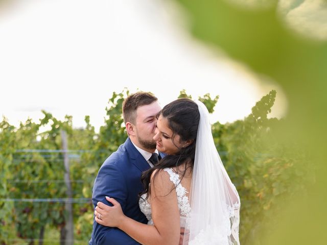 Le mariage de David et Laetitia à Kembs, Haut Rhin 8