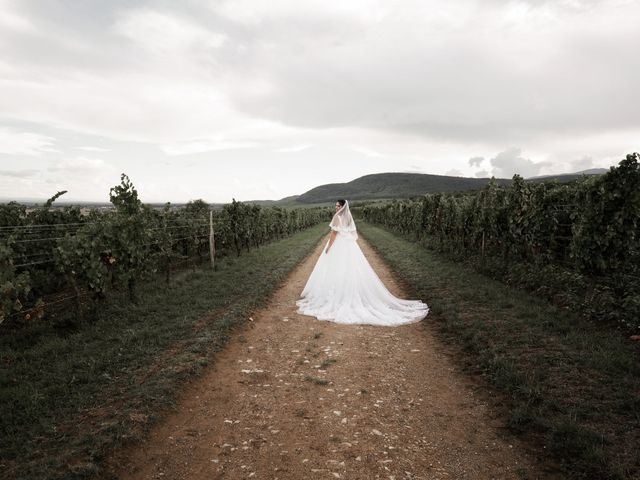 Le mariage de David et Laetitia à Kembs, Haut Rhin 2