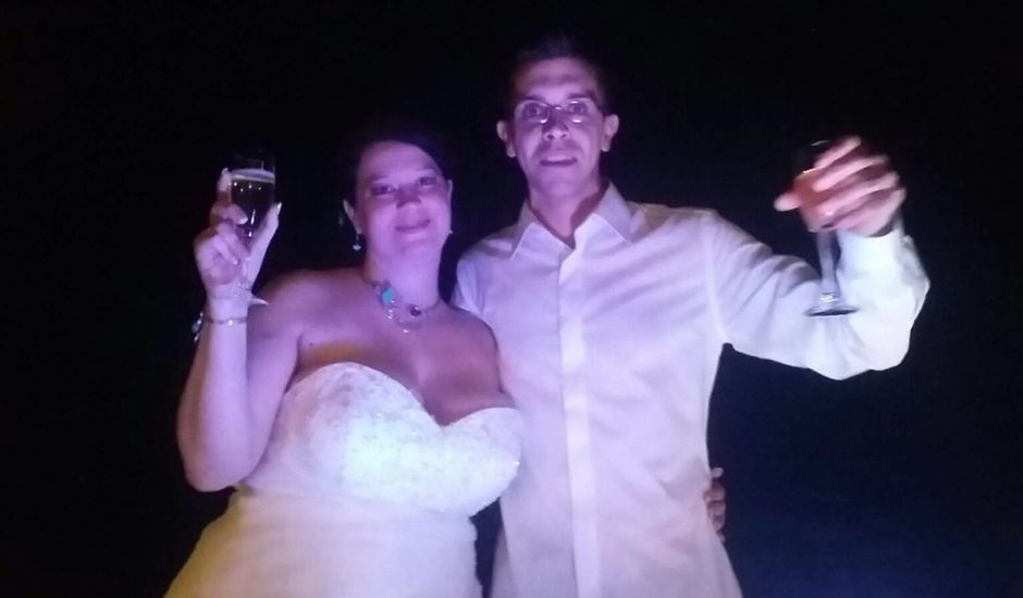 Le mariage de Romain et Aurélie à Viglain, Loiret