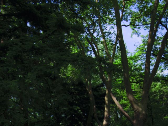 Le mariage de Arthur et Marie à Pont-Saint-Martin, Loire Atlantique 12