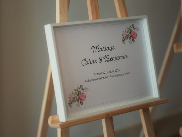 Le mariage de coline et Benjamin à Genève, Genève 15
