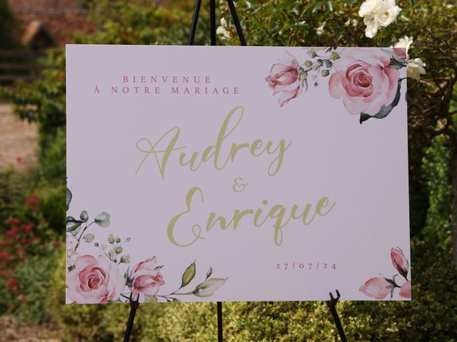 Le mariage de Enrique et Audrey à Cambremer, Calvados 42