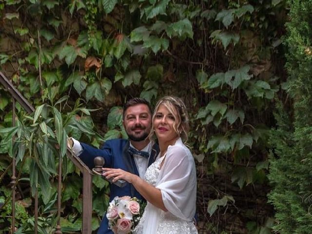 Le mariage de Cédric et Alexandra à Rochefort-du-Gard, Gard 6