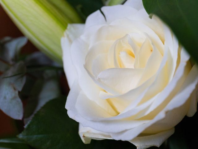 Le mariage de Gilles et Karine à Santeny, Val-de-Marne 5